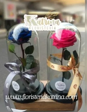 Ref. 23