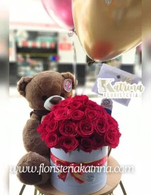 Ref. 25